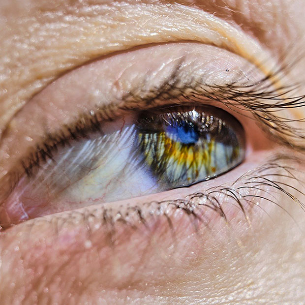 The Anatomy of the Human Eye Hickory NC Elite Family Eye Care